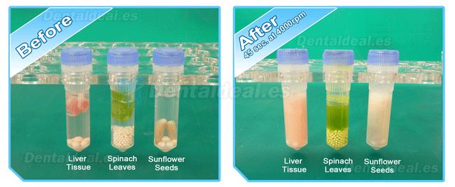 Zoneray Beadbug Microtube Homogenizer for Lab